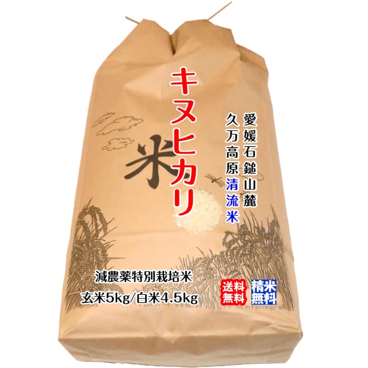 Amazon.co.jp: キヌヒカリ(玄米5kg)2025年令和7年産 愛媛 石鎚山麓 Amazon.co.jp: キヌヒカリ(玄米5kg)2025年令和7年産 愛媛 石鎚山麓